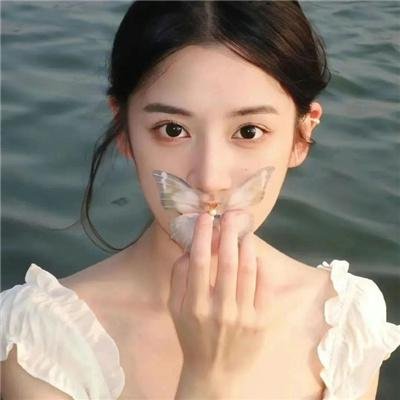 深夜中的企鹅
